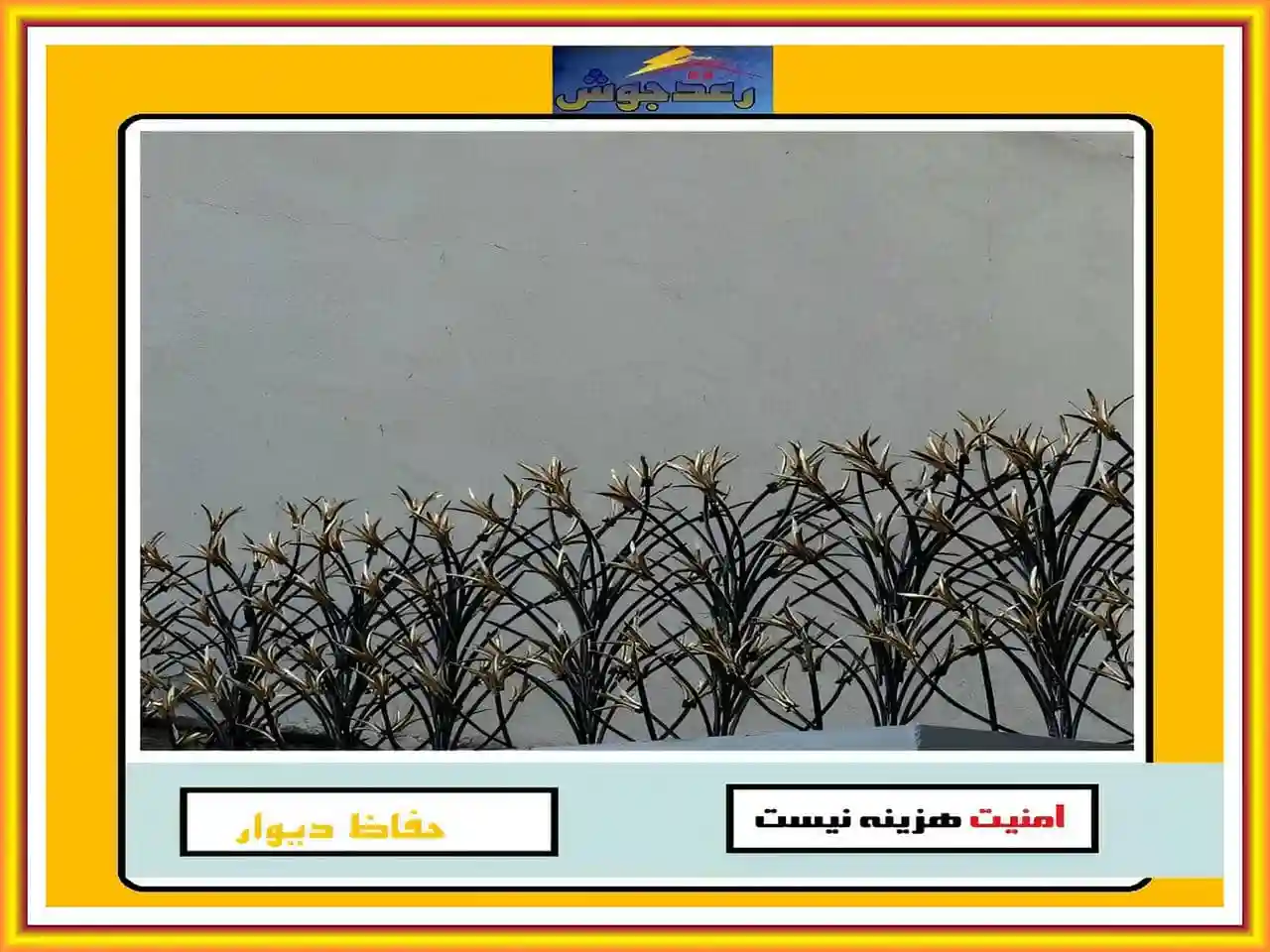 حفاظ گل لیلیوم دیوار