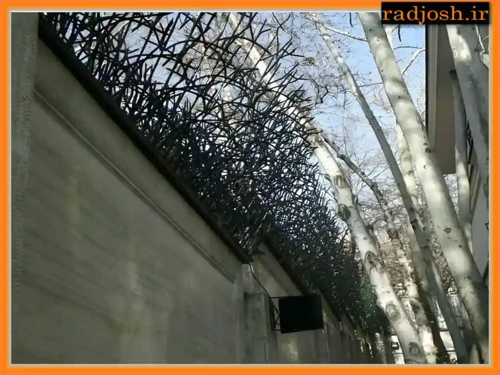 نکات مهم در انتخاب و خرید حفاظ شاخ گوزنی نکات مهم در انتخاب و خرید حفاظ شاخ گوزنی