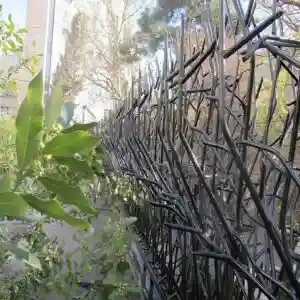 حفاظ بوته ای تراکم 88 حفاظ بوته ای تراکم 88