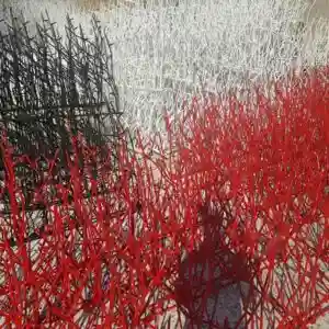 مشخصات فنی حفاظ شاخ گوزنی