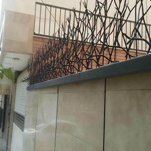 حفاظ شاخ گوزنی تراکم 34