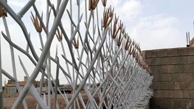 حفاظ شاخ گوزنی دیوار در فشم