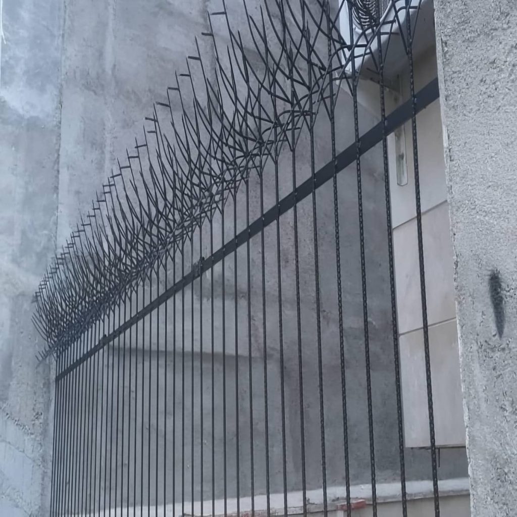 قیمت حفاظ شاخ گوزنی دیوار نوک تیز در فشم