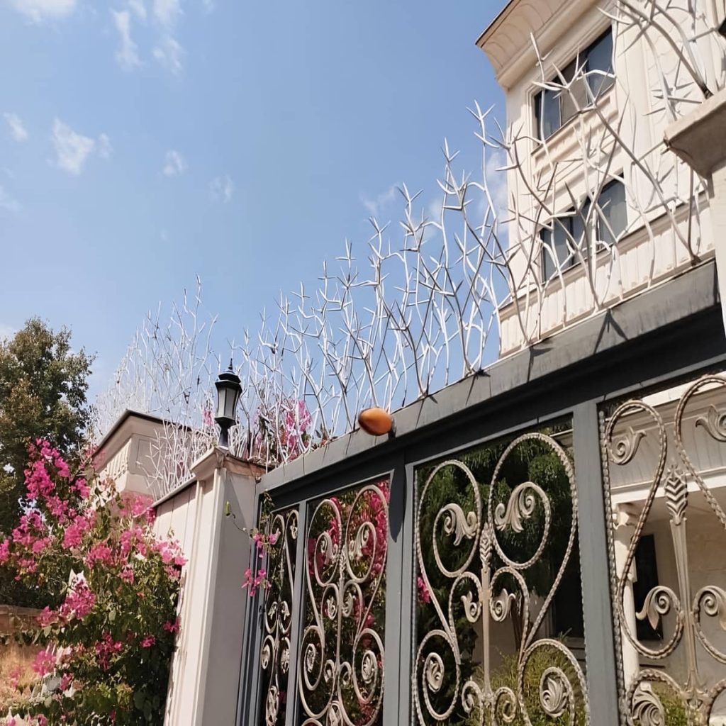 قیمت حفاظ شاخ گوزنی دیوار نوک تیز در دماوند