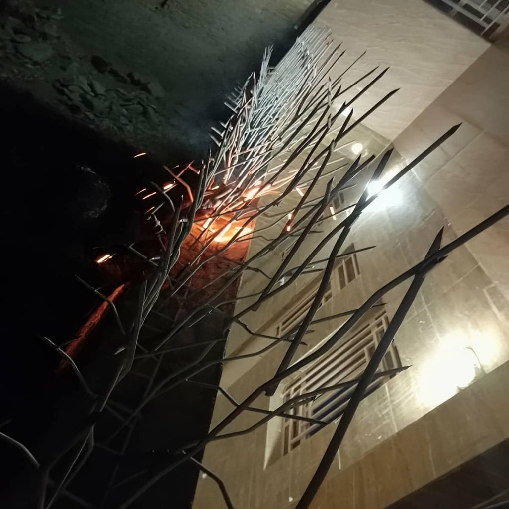 خرید حفاظ شاخ گوزنی شاخه فشرده در استان مازندران