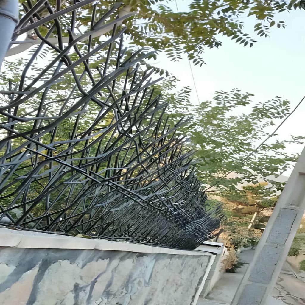 کارخانه حفاظ شاخ گوزنی ارتفاع سفارشی در سبزوار