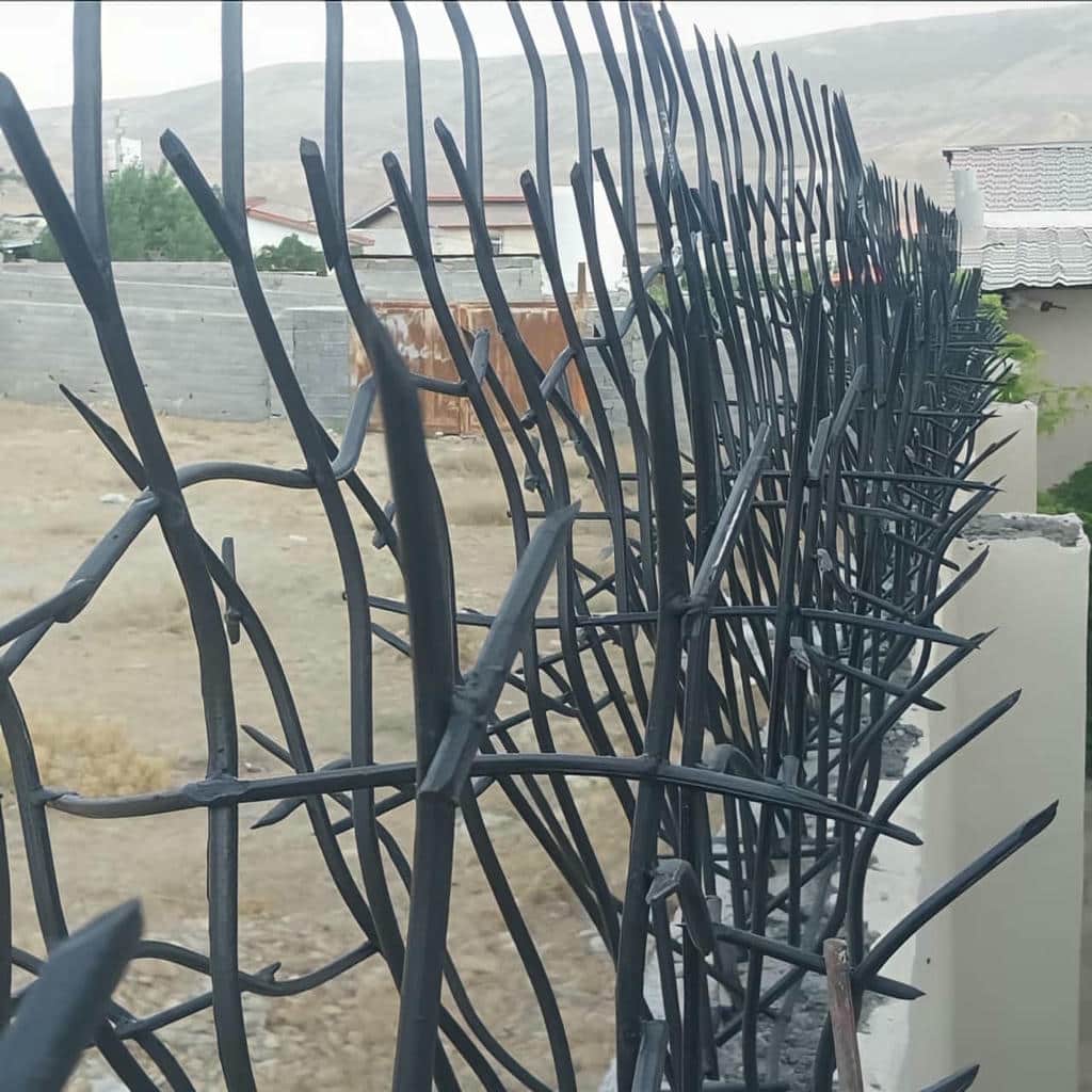حفاظ شاخ گوزنی در رشت