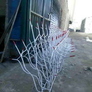 حفاظ شاخ گوزنی در مهرشهر کرج