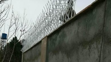 حفاظ شاخ گوزنی در اراک