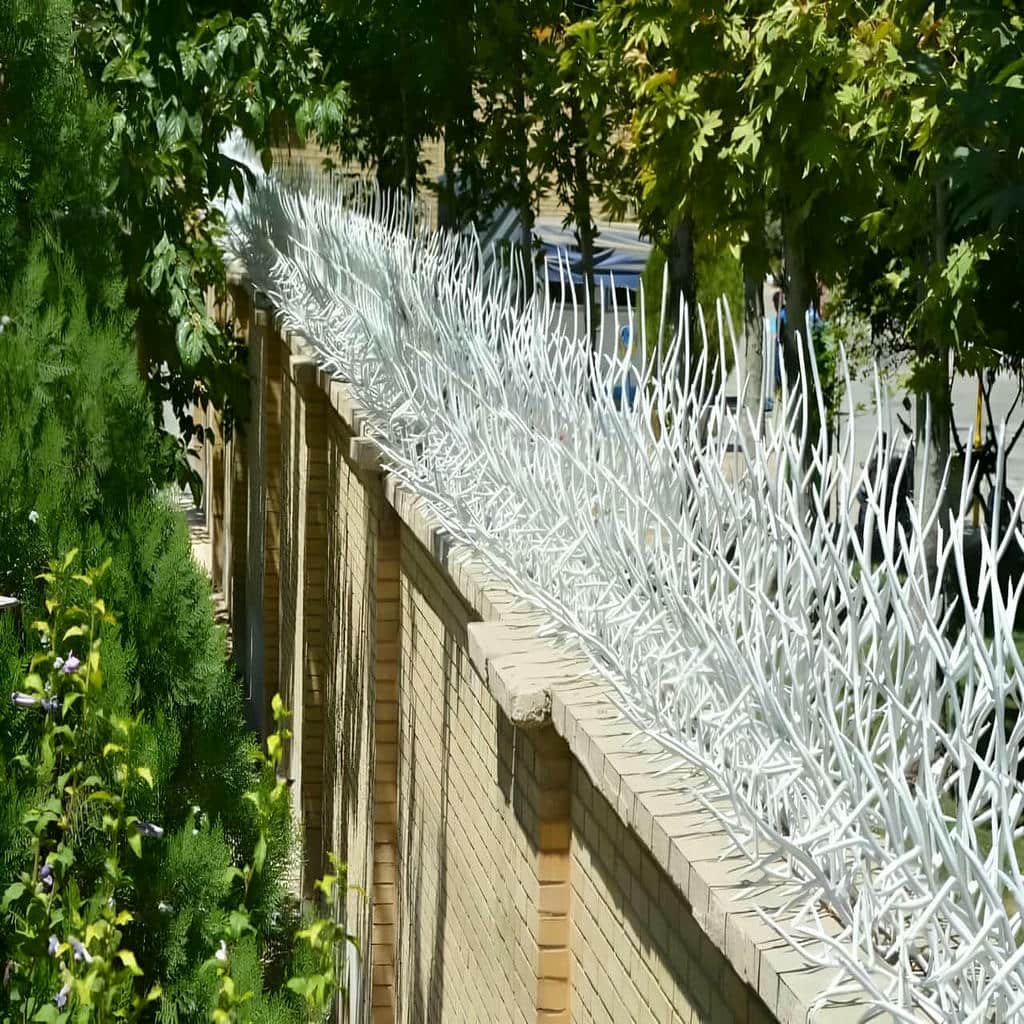 حفاظ شاخ گوزنی در سمنان