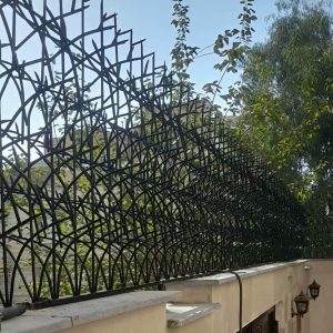 حفاظ شاخ گوزنی در اهواز