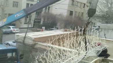 حفاظ شاخ گوزنی در استان گیلان