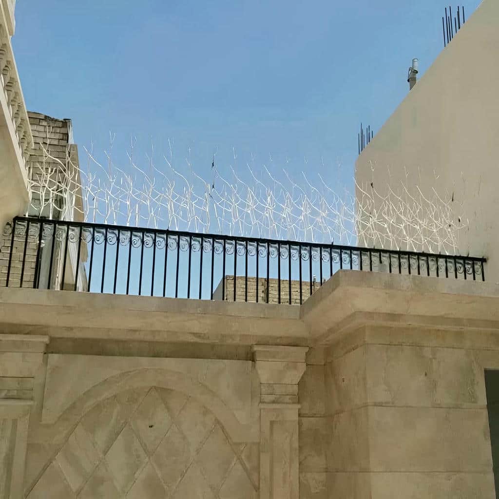 قیمت حفاظ شاخ گوزنی متراکم در فردیس کرج