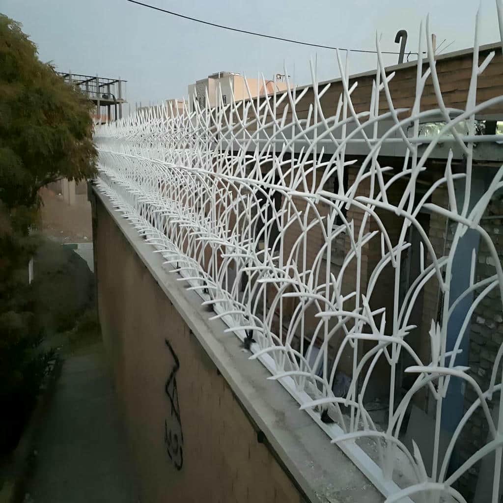 قیمت حفاظ شاخ گوزنی شاخه فشرده در اردبیل