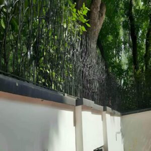 حفاظ شاخ گوزنی در کرج
