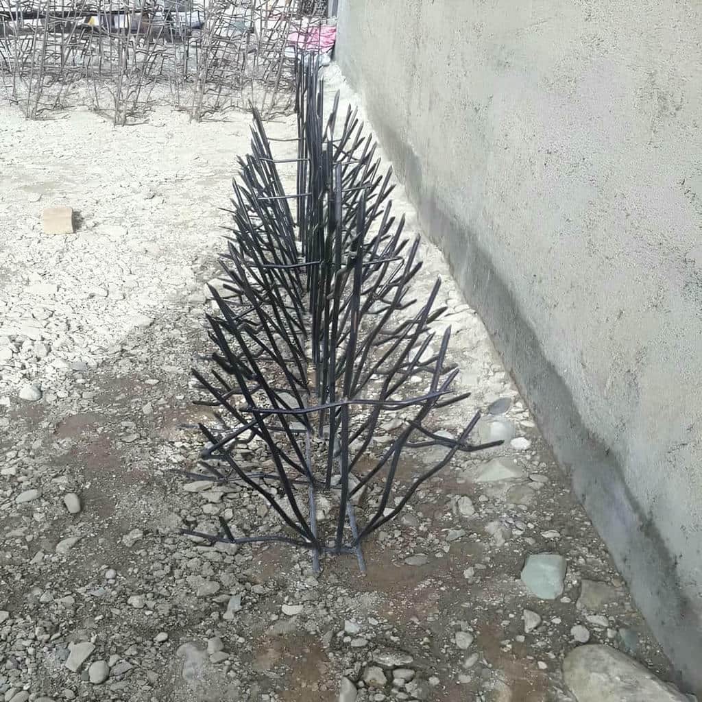حفاظ شاخ گوزنی در سنندج