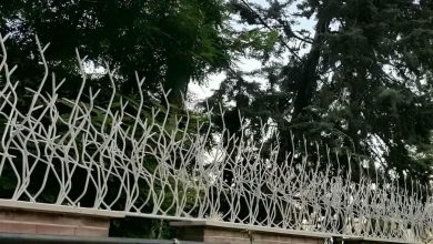 حفاظ شاخ گوزنی در شهریار