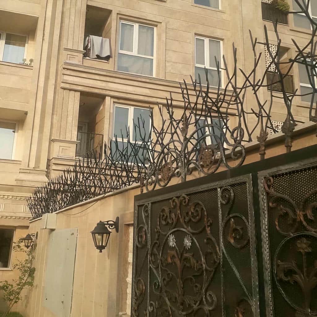 قیمت حفاظ شاخ گوزنی نوک تیز در گنبدکاووس