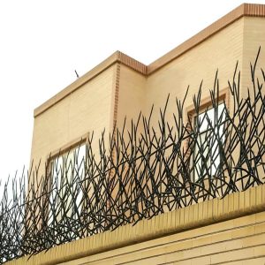 حفاظ شاخ گوزنی در فردیس کرج