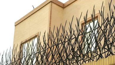 حفاظ شاخ گوزنی در فردیس کرج