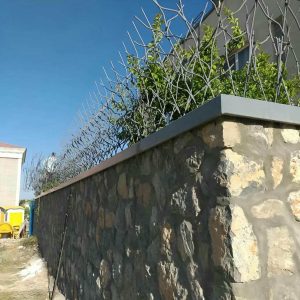 حفاظ شاخ گوزنی در بندر لنگه