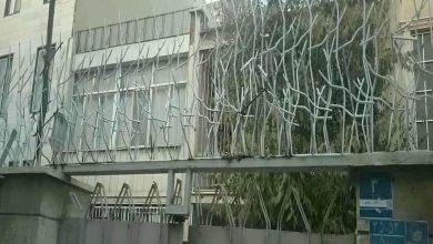حفاظ شاخ گوزنی در گنبدکاووس