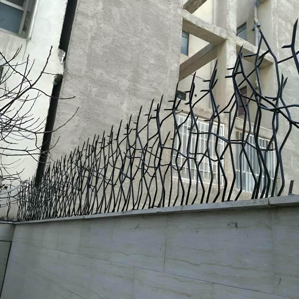 خرید حفاظ شاخ گوزنی شاخه فشرده در چالوس