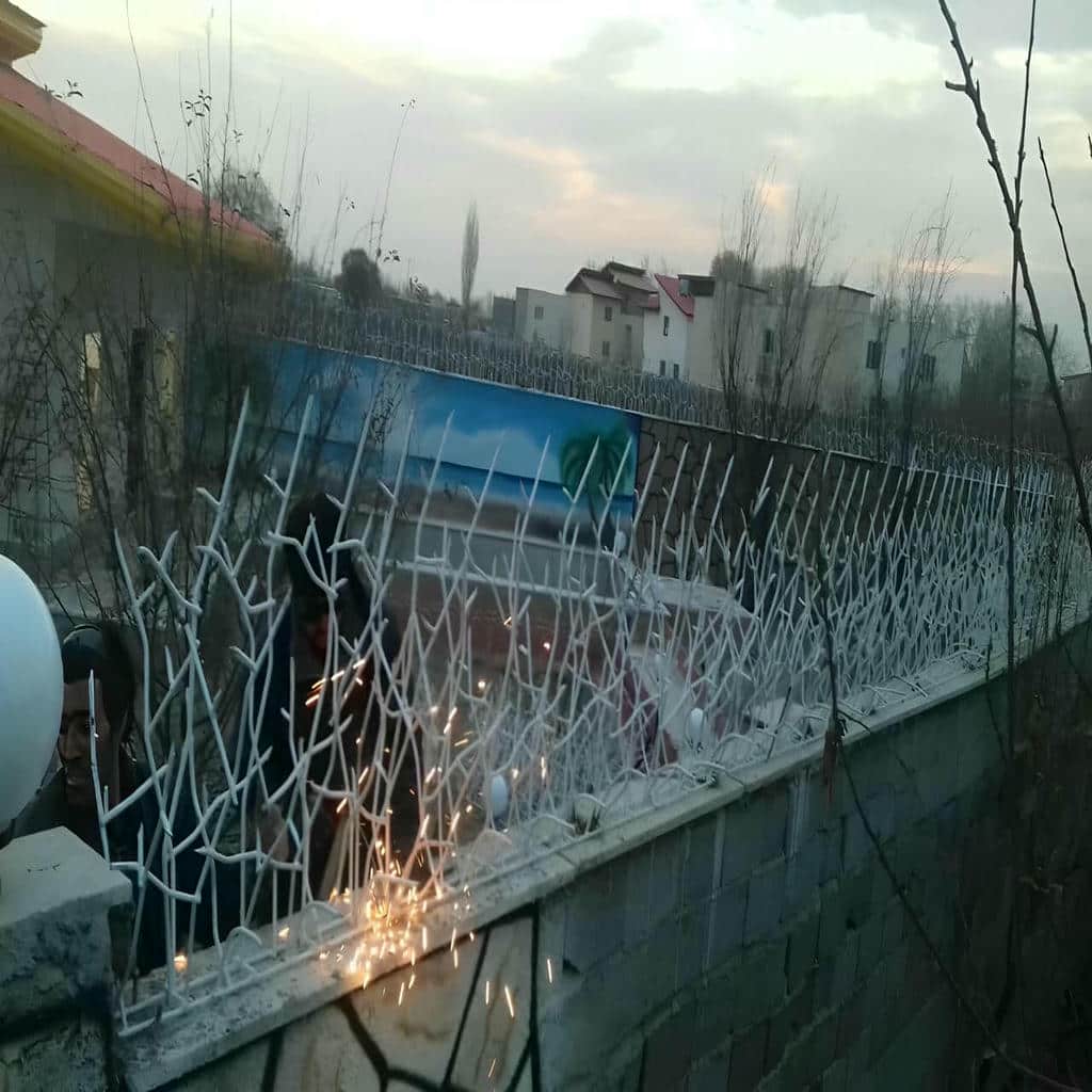 خرید حفاظ شاخ گوزنی شاخه ای در قائمشهر