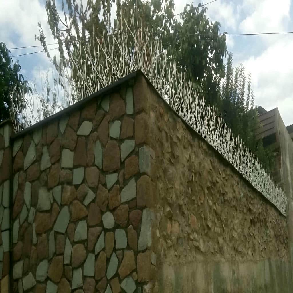 کارخانه حفاظ شاخ گوزنی ارتفاع سفارشی در نسیم شهر کارخانه حفاظ شاخ گوزنی ارتفاع سفارشی در نسیم شهر