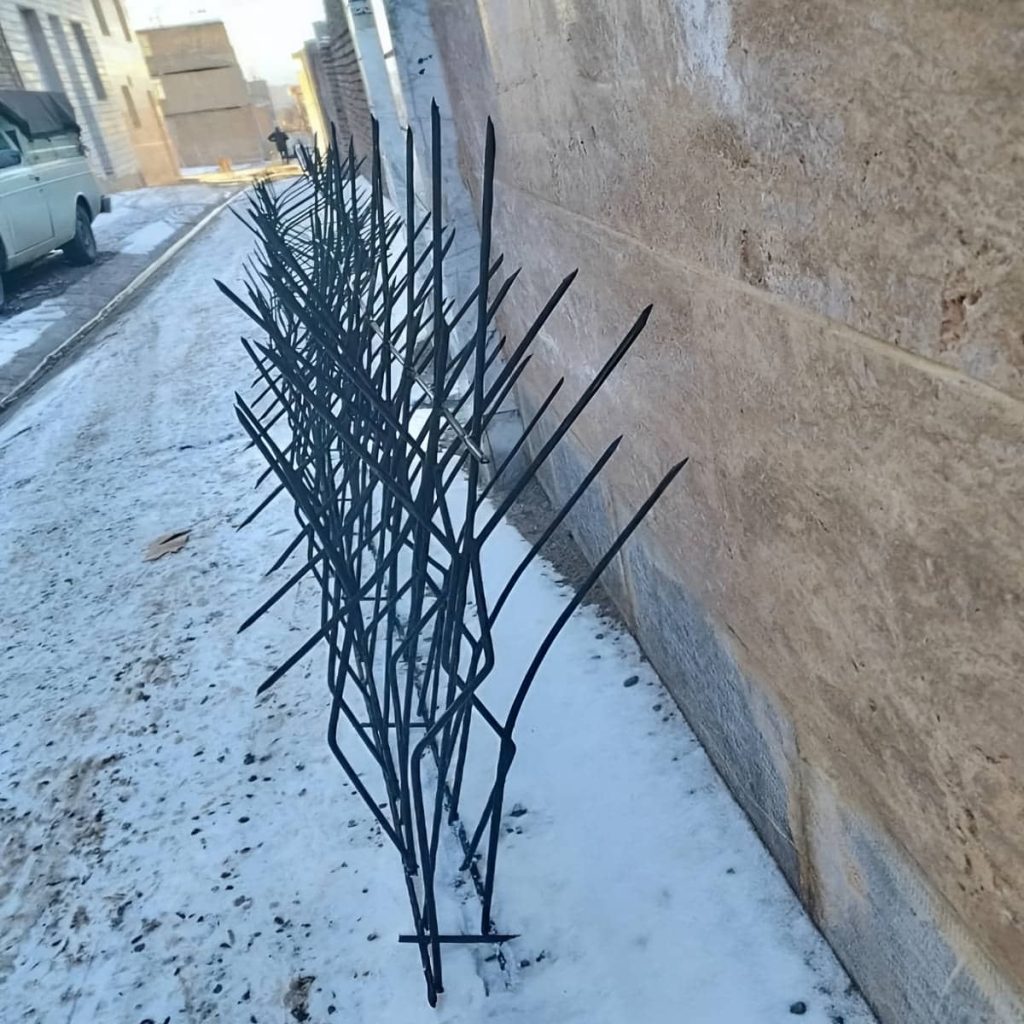 خرید حفاظ شاخ گوزنی شاخه فشرده در نوشهر