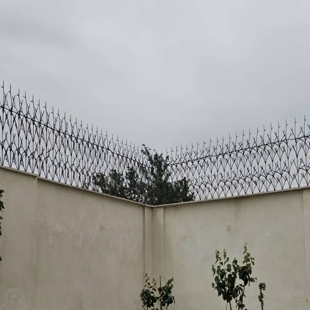 قیمت حفاظ شاخ گوزنی نوک تیز در آبسرد