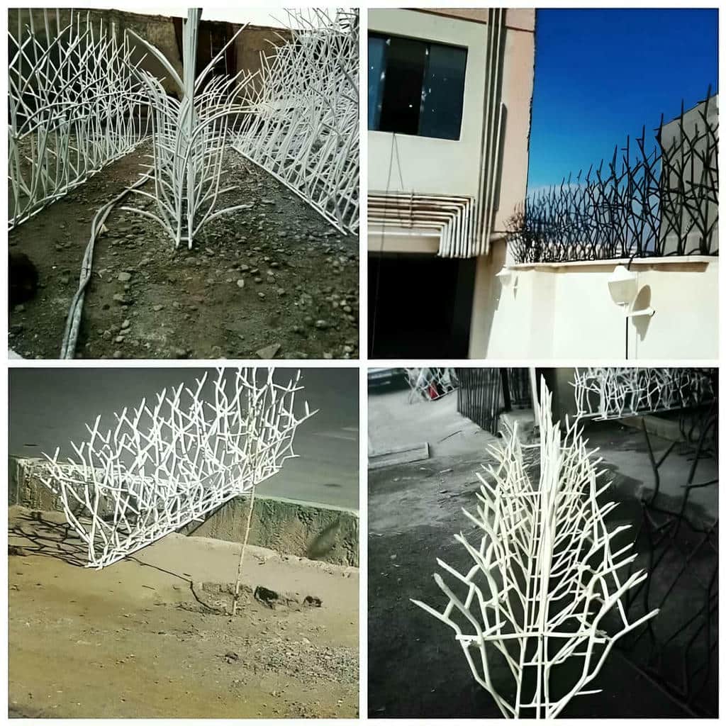 کارخانه حفاظ شاخ گوزنی دیوار ویلایی در قشم