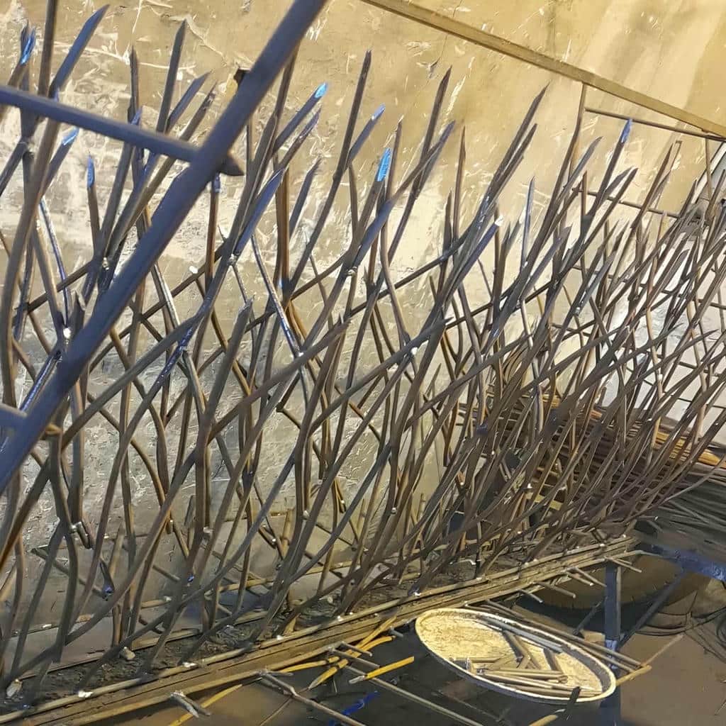 کارخانه حفاظ شاخ گوزنی تراکم شاخه در استان گلستان