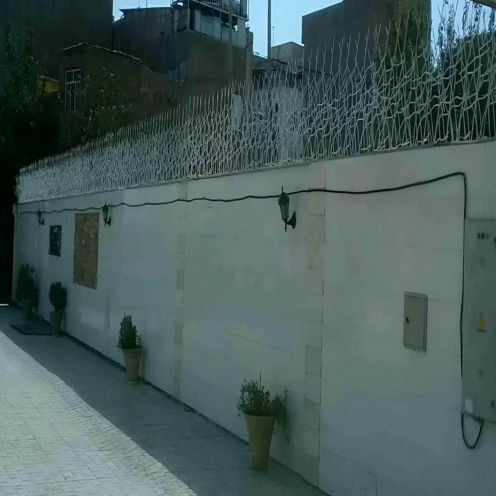 قیمت حفاظ شاخ گوزنی نوک تیز در نسیم شهر