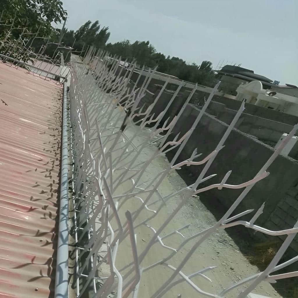 کارخانه حفاظ شاخ گوزنی ارتفاع سفارشی در رشت