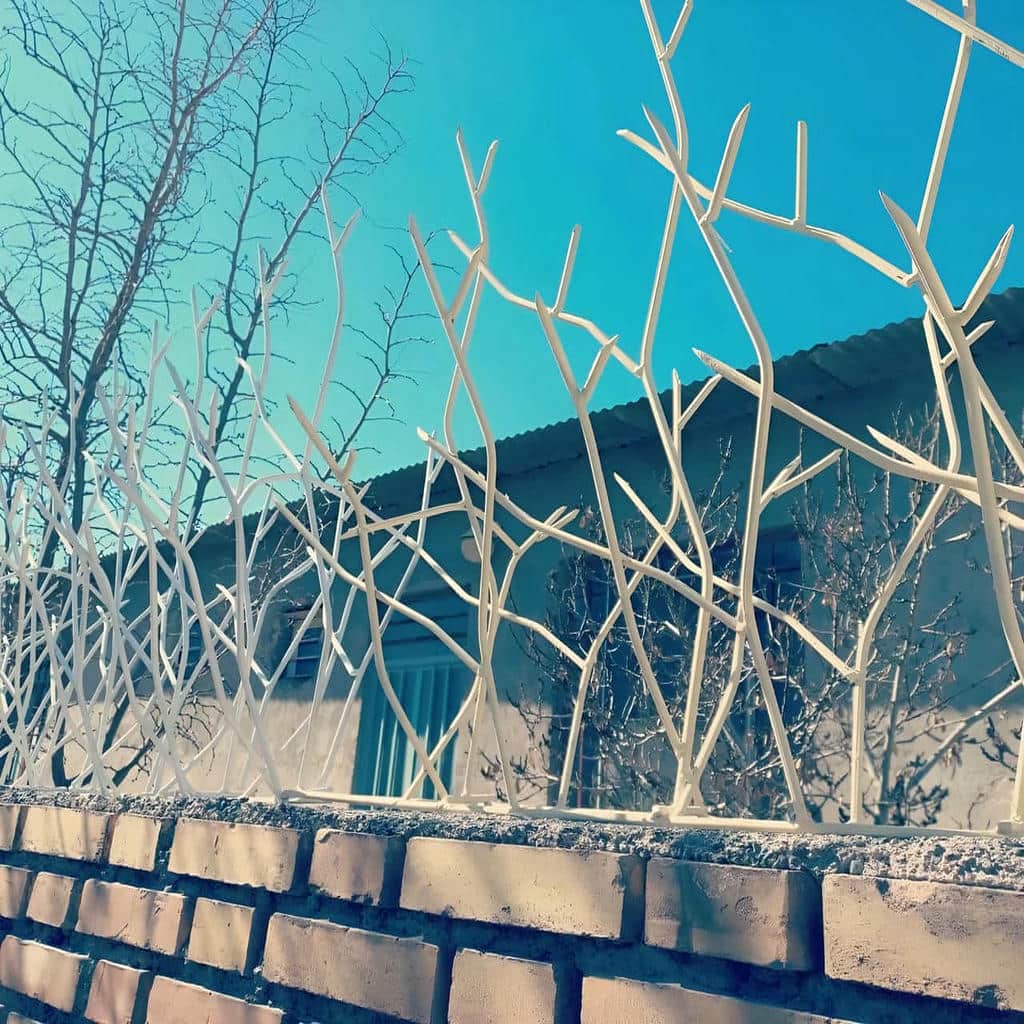 حفاظ شاخ گوزنی در نظرآباد