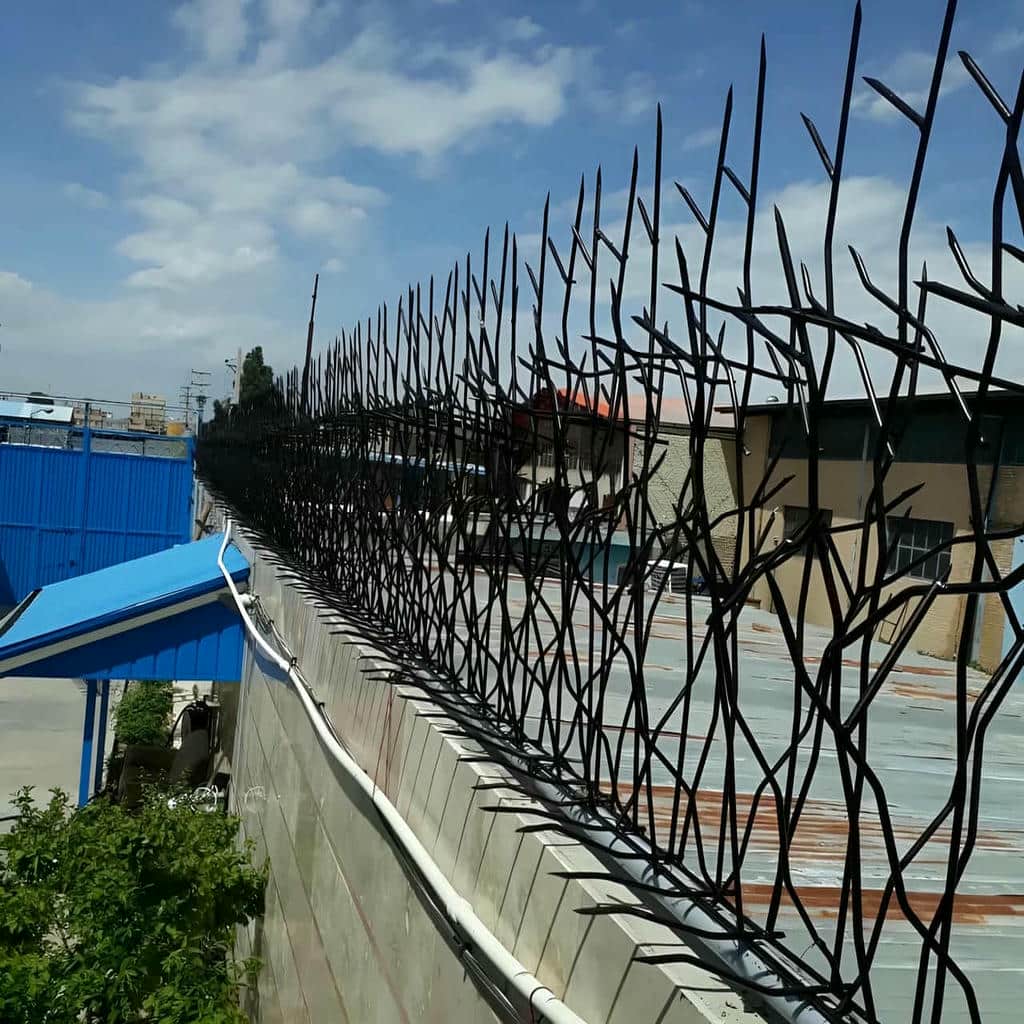 کارخانه حفاظ شاخ گوزنی امنیت ساختمان در سنندج