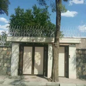 حفاظ شاخ گوزنی در خرم آباد
