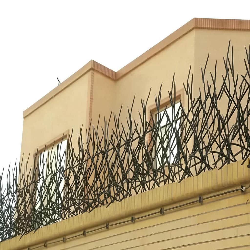 کارخانه حفاظ شاخ گوزنی ارتفاع سفارشی در مشهد