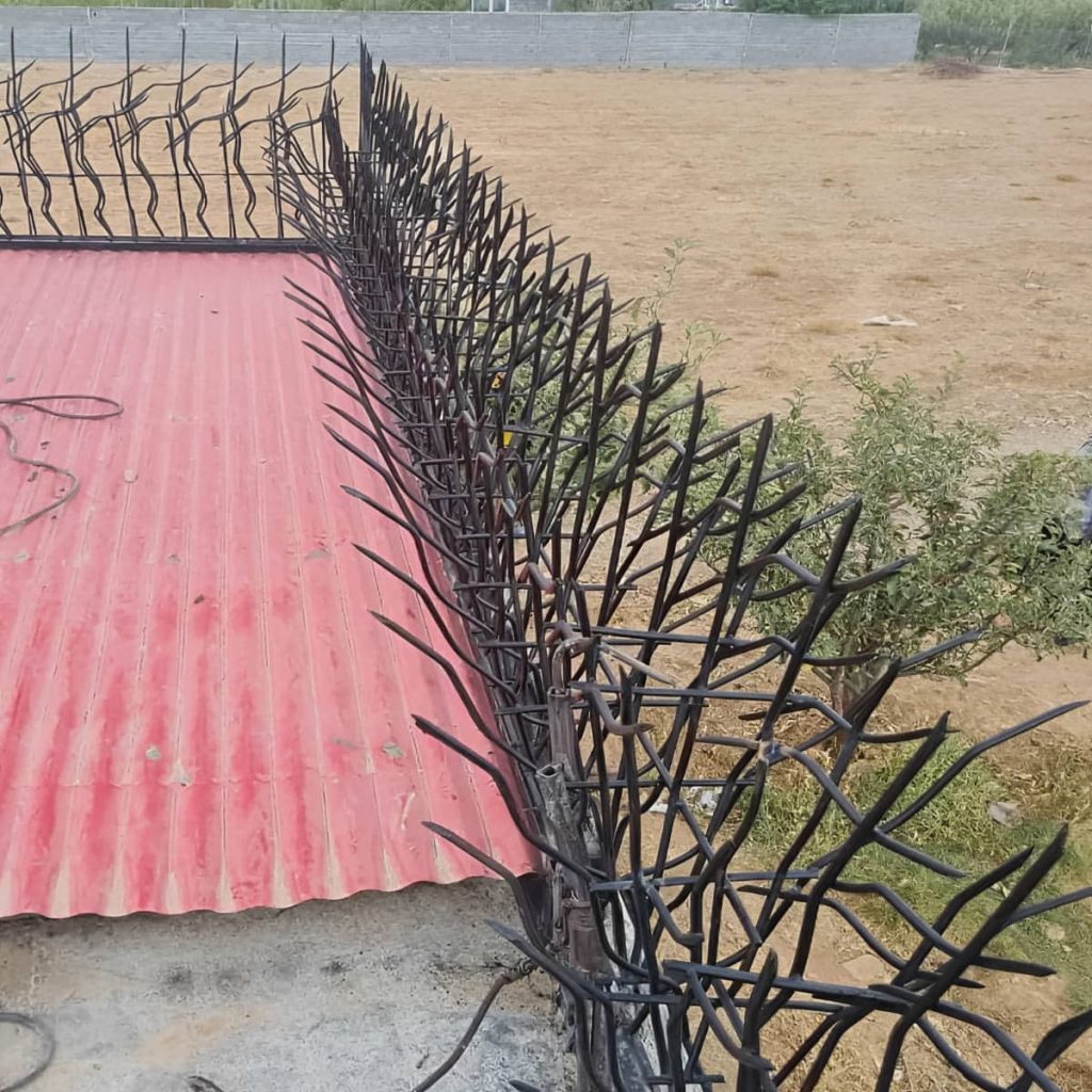 نصب حفاظ شاخ گوزنی دیوار ساختار مستحکم در مریوان