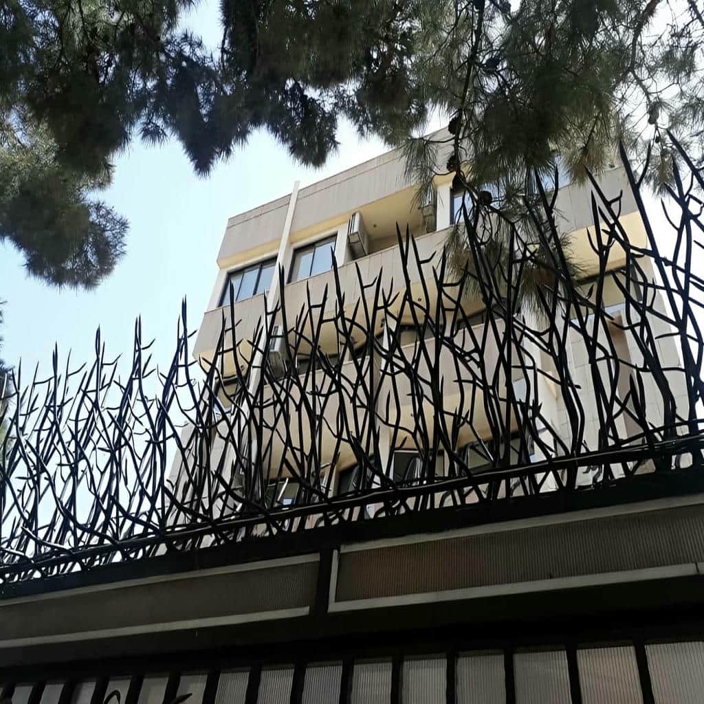 حفاظ شاخ گوزنی در یاسوج