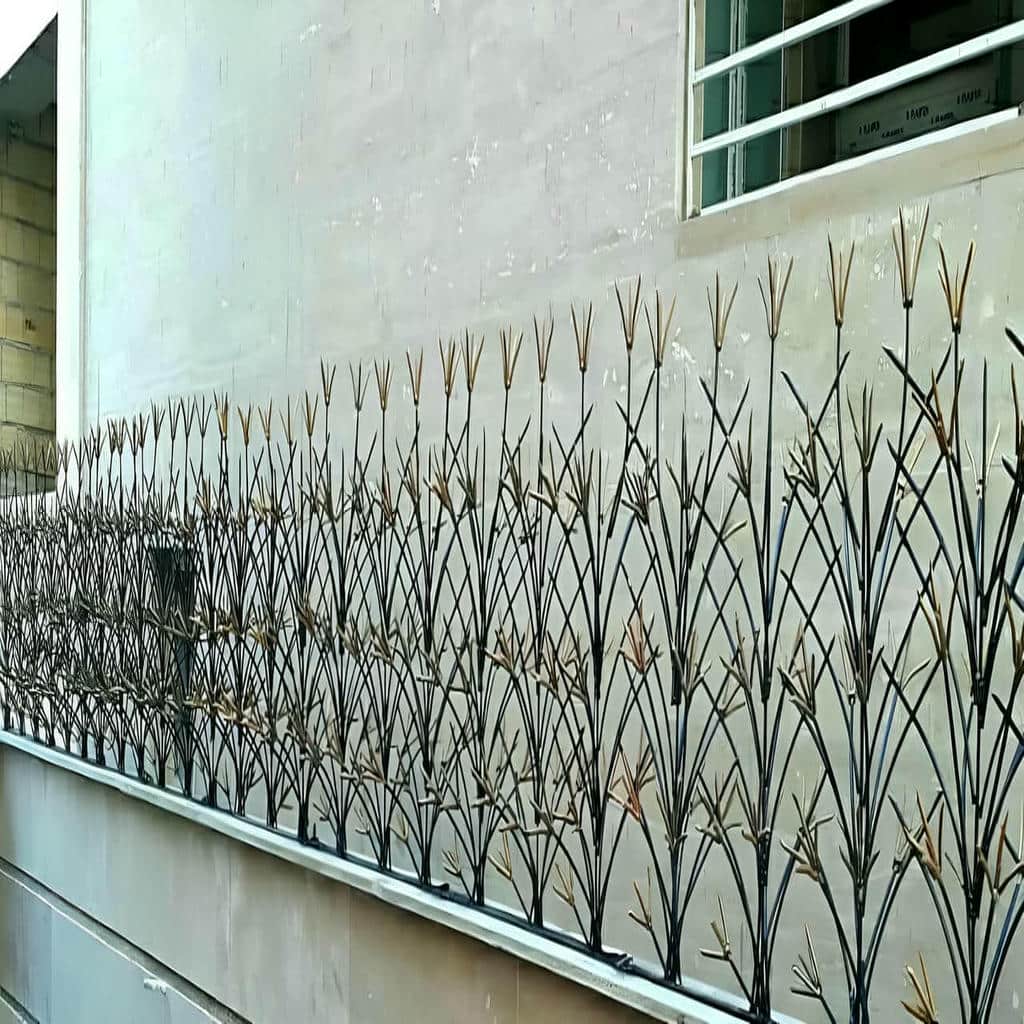 حفاظ شاخ گوزنی دیوار در کیش