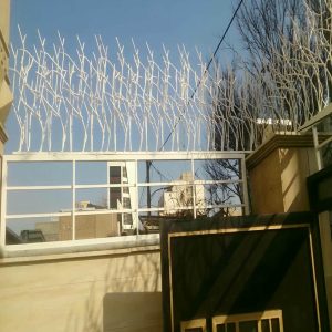 حفاظ شاخ گوزنی در کرمان