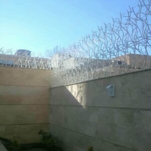 حفاظ شاخ گوزنی دیوار در سقز