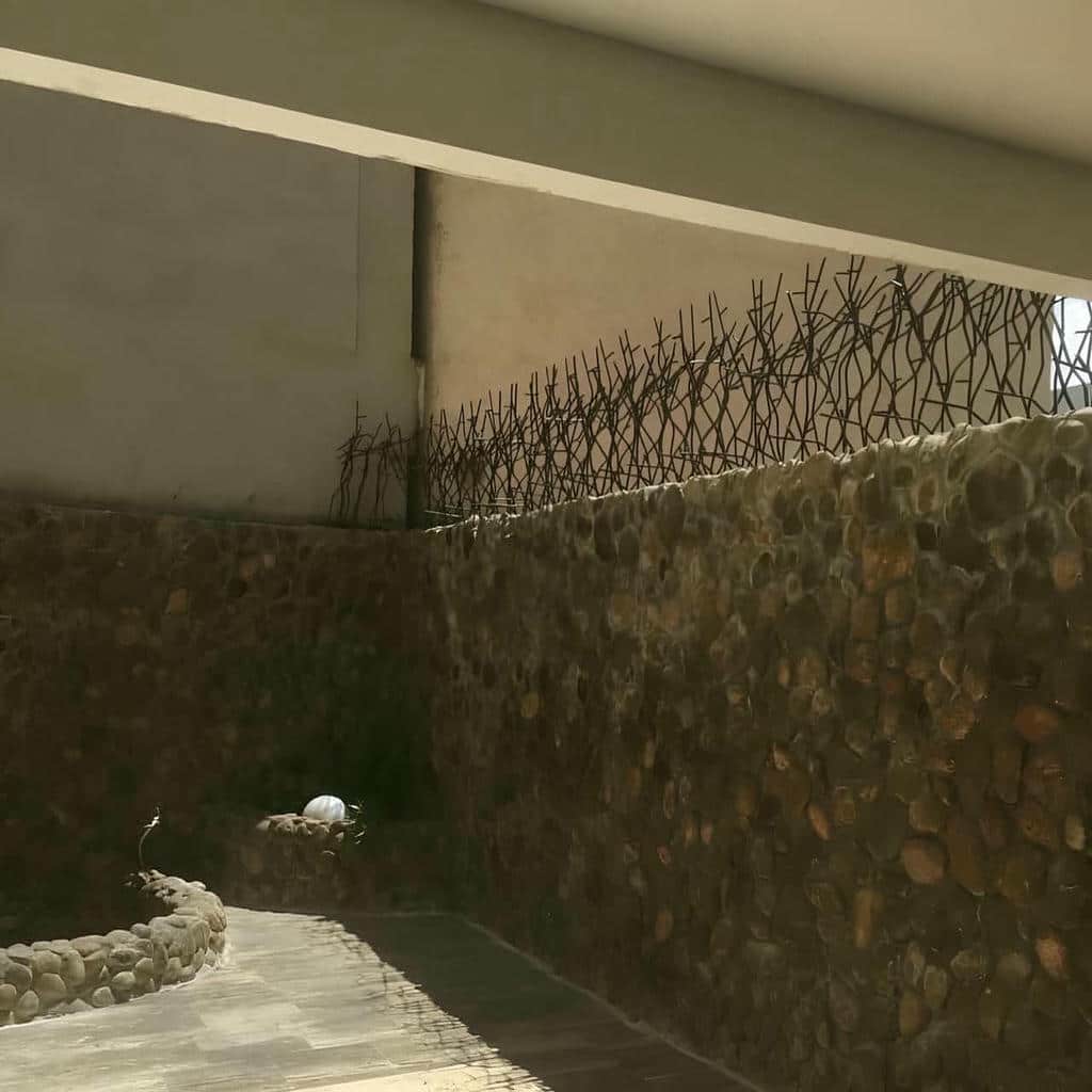 حفاظ شاخ گوزنی در ملارد