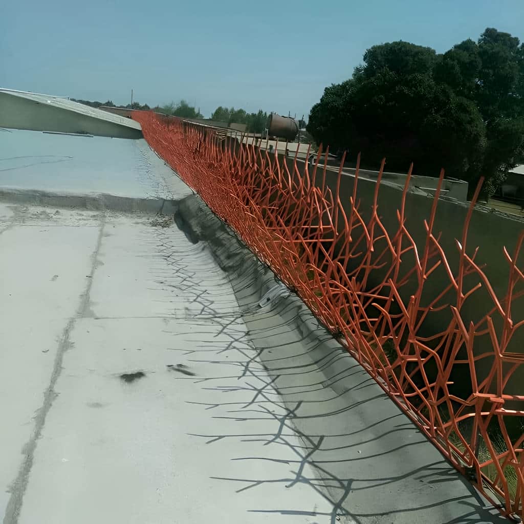 حفاظ بوته ای روی دیوار ساختمان