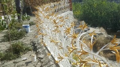 حفاظ غنچه ای با رنگ پوشش مقاوم