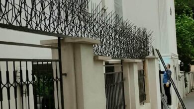 حفاظ دیوار شاخ گوزنی مشکی برای حیاط در اصفهان